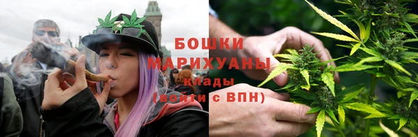 тгк Горнозаводск