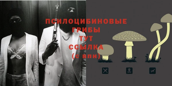 молекула духа Горняк
