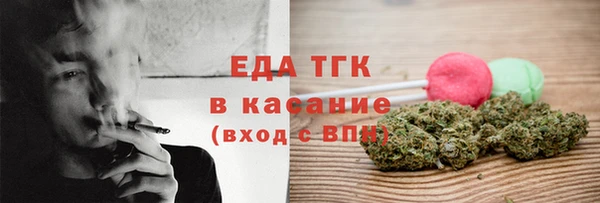 тгк Горнозаводск