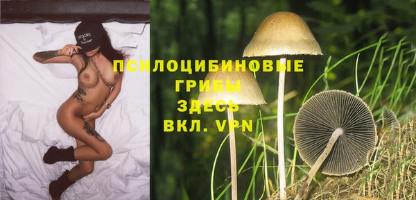 тгк Горнозаводск