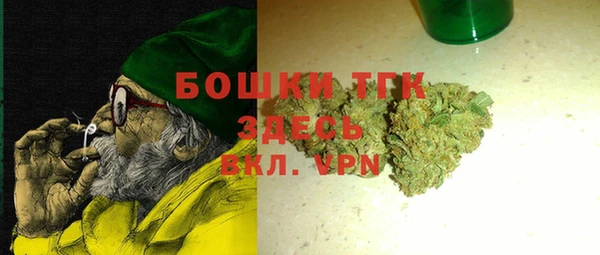 молекула духа Горняк