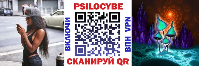 Псилоцибиновые грибы Psilocybine cubensis  Пикалёво 